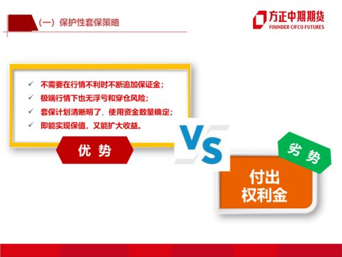 期權(quán)在企業(yè)風(fēng)險(xiǎn)管理中的應(yīng)用